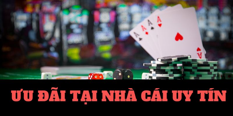 Top 10 Nhà Cái Tặng Tiền Cá Cược Miễn Phí 2024